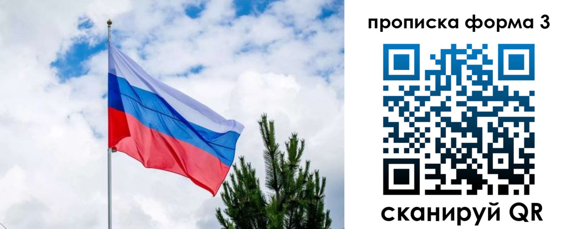 прописка для школы в Архангельской области